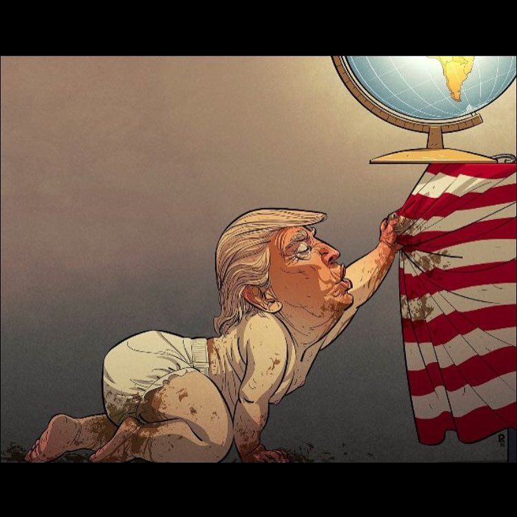 MAGA Snowflakes